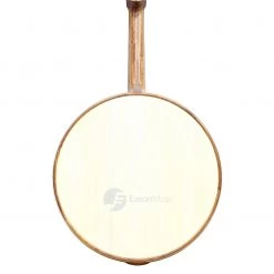 Eason Music Store Concert Cao Huali Wood Zhongruan By Liang Hao