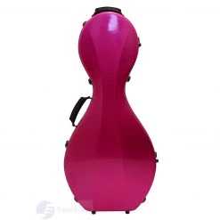 Eason Music Store Fiberglass Hardcase For Zhongruan