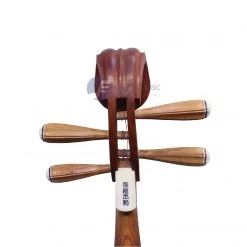 Eason Music Store Exquisite Undyed Premium Rosewood Pipa By Qiu Ting Yu