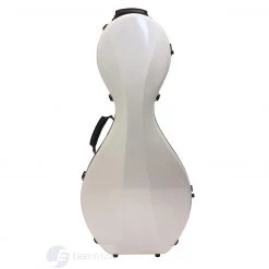 Eason Music Store Fiberglass Hardcase For Zhongruan