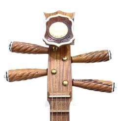 Eason Music Store Concert Cao Huali Wood Zhongruan By Liang Hao