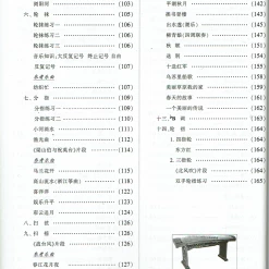 Eason Music Store Starting From Zero - Guzheng 古筝从零起步