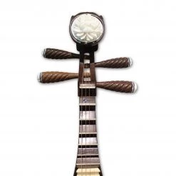 Eason Music Store Concert Wenge Wood Pipa By Qiu Ting Yu