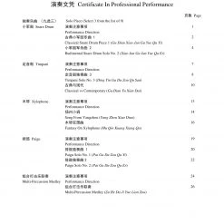 Eason Music Store Percussion Teng CI Certification For Professional Performance