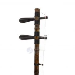 Eason Music Store Beijing Synthetic Skin Xipi Jinghu