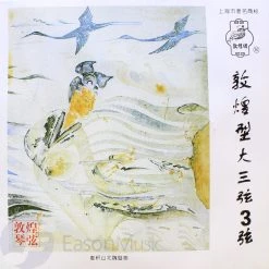 Eason Music Store Shanghai Dunhuang DaSanXian Strings