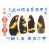 Eason Music Store Faux Tortoise-Turtle Shell Guzheng Nails For Adults(II)