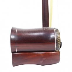 Eason Music Store Shanghai Violet Sandalwood Gaohu By Hu Han Rou