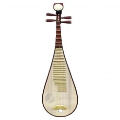 Eason Music Store Professional Rosewood Pipa By Raoyang Yue Tan