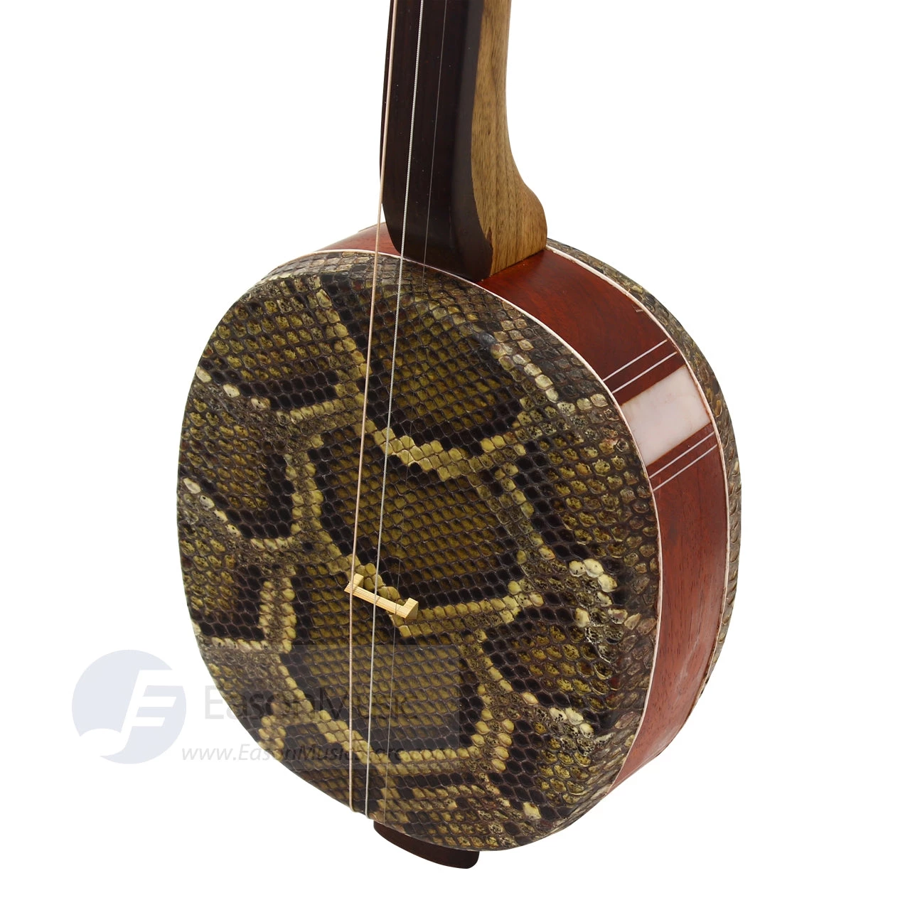 Eason Music Store Beijing Rosewood Large Sanxian By Raoyang 5 Eason Music Store Beijing Rosewood Large Sanxian By Raoyang