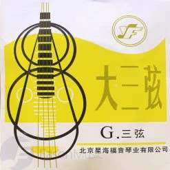 Eason Music Store Beijing Xinghai DaSanXian Strings